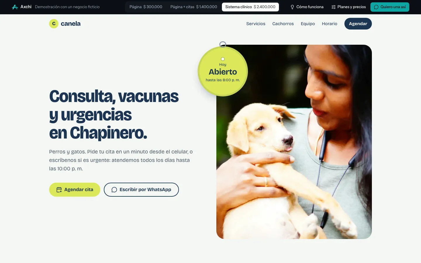 Portada de la demo de Canela en un computador