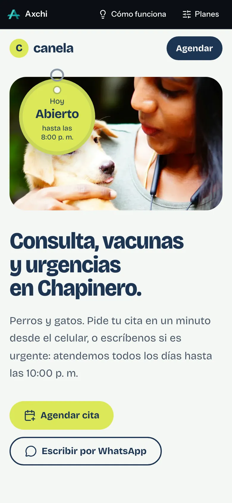 Portada de la demo de Canela en un celular
