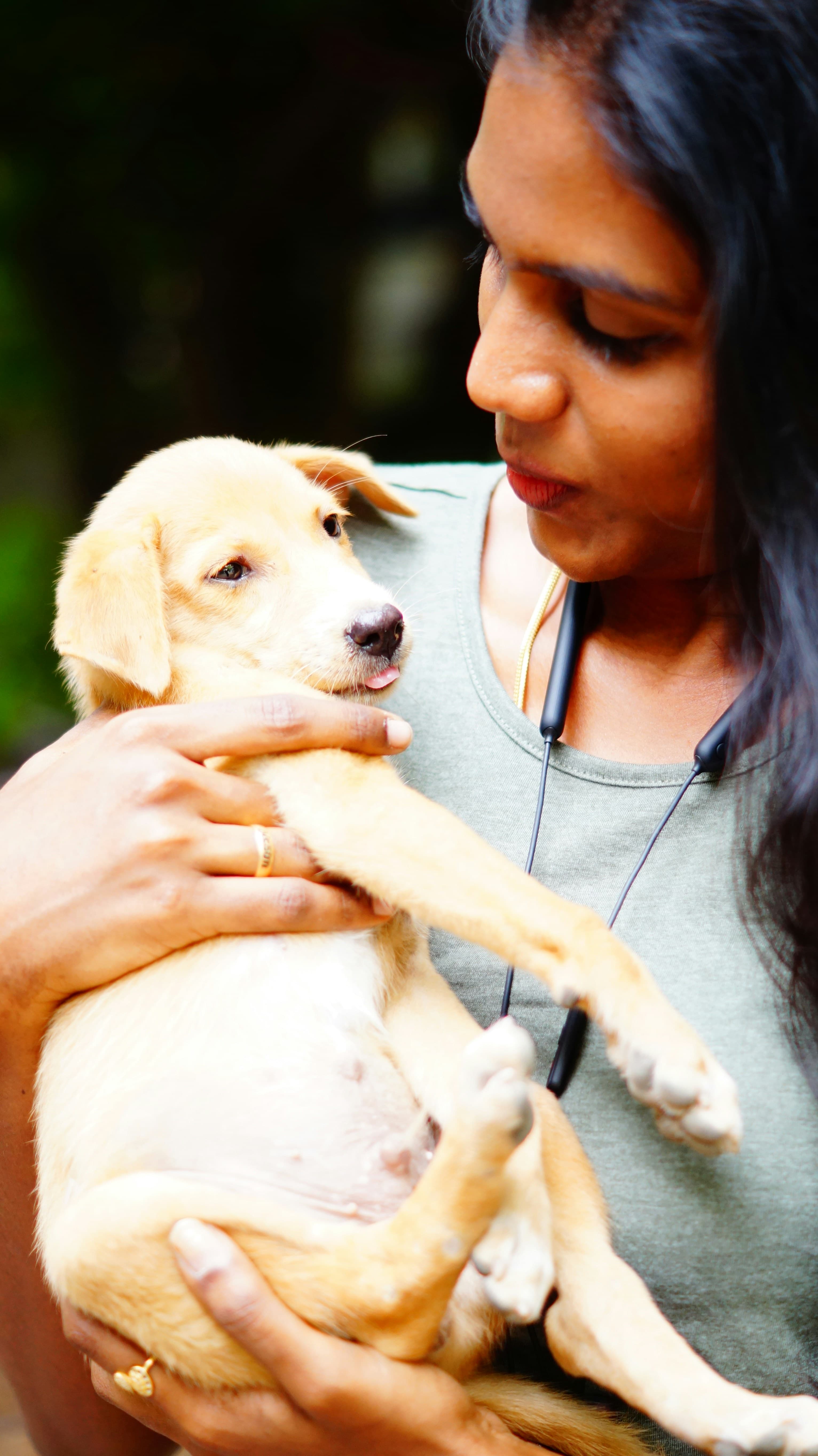 Veterinaria sosteniendo un cachorro de pelo claro
